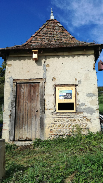 Cabane de vigne rénovée